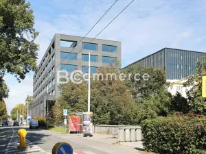 Pronájem kanceláře, Brno, 160 m2