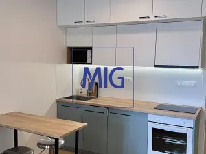 Pronájem bytu 1+kk, Brno, Bratislavská, 31 m2