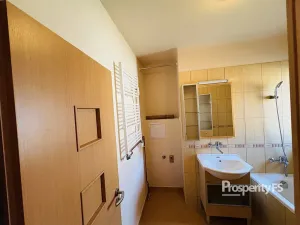 Pronájem bytu 2+1, Ostrava - Hrabůvka, Horní, 58 m2