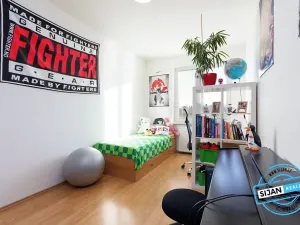 Pronájem bytu 2+1, Vítkov, Budišovská, 48 m2