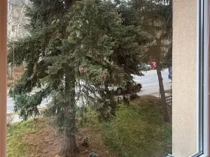 Pronájem bytu 1+kk, Karlovy Vary, Lidická, 22 m2