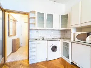 Pronájem bytu 1+kk, Praha - Podolí, Levá, 20 m2