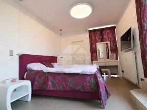 Pronájem bytu 3+kk, Plzeň, Goldscheiderova, 250 m2