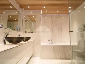 Pronájem bytu 3+kk, Plzeň, Goldscheiderova, 250 m2