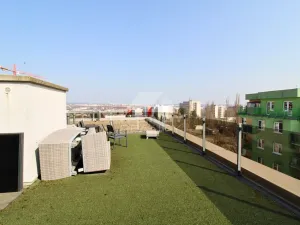 Pronájem bytu 3+kk, Plzeň, Goldscheiderova, 250 m2