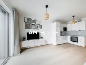 Pronájem bytu 2+kk, Praha, Ivana Hlinky, 60 m2