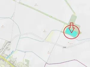 Prodej podílu lesa, Štítary, 3942 m2