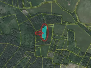 Prodej lesa, Milejovice, 2791 m2