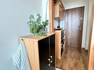 Pronájem bytu 1+1, Ostrava - Poruba, Vincence Makovského, 34 m2