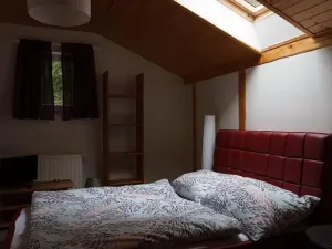 Prodej - jiné, Josefův Důl, 220 m2