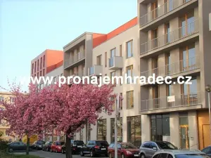 Pronájem bytu 2+kk, Hradec Králové, Kollárova, 55 m2