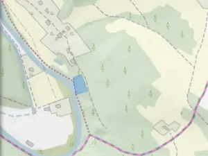 Prodej lesa, Plavy, 32050 m2