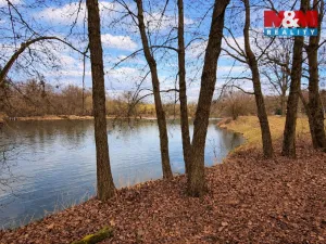 Prodej komerčního pozemku, Křečovice - Vlkonice, 68525 m2