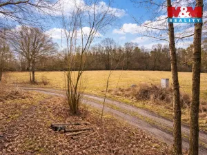 Prodej pozemku pro bydlení, Křečovice - Vlkonice, 68525 m2