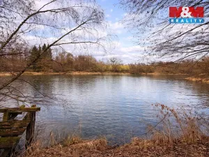 Prodej pozemku pro bydlení, Křečovice - Vlkonice, 68525 m2