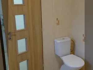 Pronájem bytu 1+kk, Horní Stropnice, 41 m2