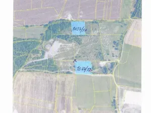 Dražba pozemku, Čisovice, 11062 m2