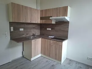 Pronájem bytu 1+kk, Praha - Žižkov, Krásova, 14 m2