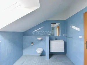 Pronájem bytu 4+kk, Praha - Vinohrady, Havlíčkovy sady, 172 m2