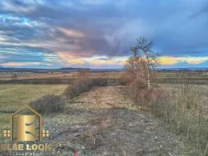Prodej pozemku, Dolní Roveň - Komárov, 4457 m2
