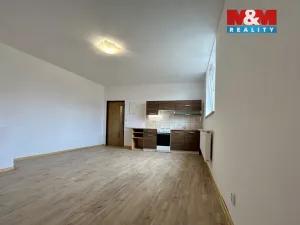 Pronájem bytu 1+kk, Švihov, Čsl. legií, 40 m2