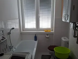 Pronájem bytu 1+1, Ostrava, Mojmírovců, 32 m2