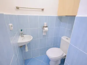 Prodej bytu 2+1, Brno, Rybářská, 72 m2