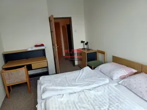 Pronájem bytu 1+kk, Lštění, Míru, 20 m2