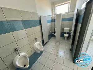 Pronájem kanceláře, Opava, Vrchní, 59 m2