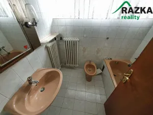 Prodej rodinného domu, Vyškov - Nosálovice, Pod Nemocnicí, 261 m2