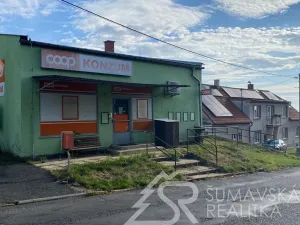 Prodej obchodního prostoru, Zborovy, 233 m2