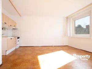 Prodej bytu 2+kk, Ústí nad Labem - Krásné Březno, Obvodová, 48 m2