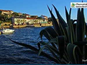 Prodej bytu 2+kk, Lun, Chorvatsko, 70 m2