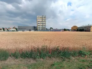 Prodej podílu pozemku pro bydlení, Litovel, 2918 m2