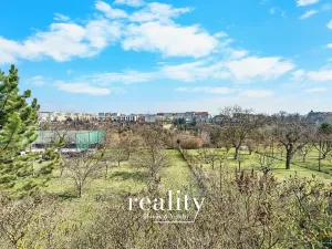 Prodej zahrady, Nový Šaldorf-Sedlešovice, 3000 m2