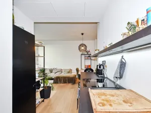 Prodej bytu 3+kk, Praha - Nové Město, Petrská, 85 m2