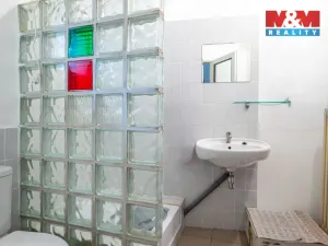 Prodej obchodního prostoru, České Budějovice - České Budějovice 1, Hradební, 615 m2