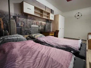 Pronájem bytu 3+1, Hranice - Hranice I-Město, Nádražní, 23 m2