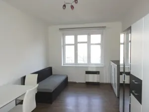 Pronájem bytu 1+kk, Praha - Žižkov, Žerotínova, 24 m2