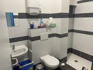 Pronájem komerční nemovitosti, Praha - Liboc, Na Džbánu, 500 m2