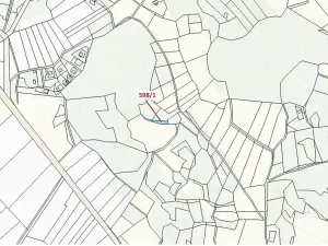 Dražba louky, Zavlekov, 272 m2