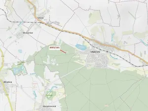 Dražba lesa, Vracov, 1702 m2