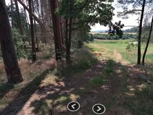 Dražba lesa, Chrášťany, 1726 m2