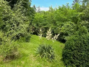 Pronájem zahrady, Křivoklát, 770 m2