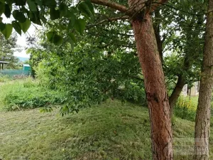 Prodej zahrady, Broumov, 285 m2