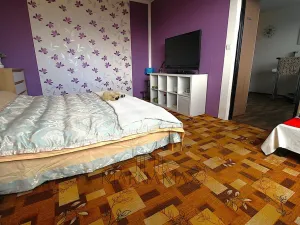 Prodej bytu 1+1, Chomutov, Jirkovská, 36 m2