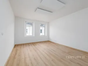 Prodej bytu 1+kk, Plzeň, Radyňská, 35 m2