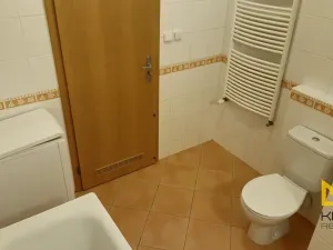 Pronájem bytu 1+kk, Praha - Strašnice, Názovská, 39 m2