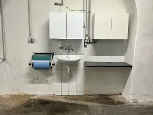 Pronájem skladu, Hajany, 900 m2