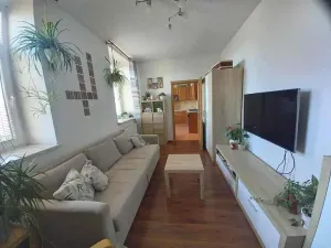 Prodej bytu 2+kk, Hrušovany u Brna, Vodní, 46 m2